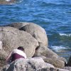 Vacances en Bretagne en juillet 2006
